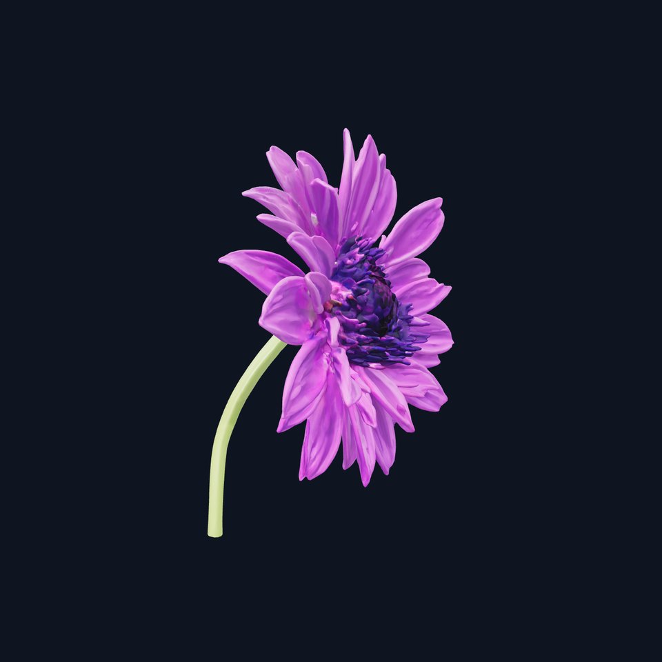 Purple Cornflower Flower Model Pack